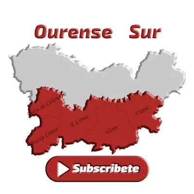 Logo de Ourense Sur