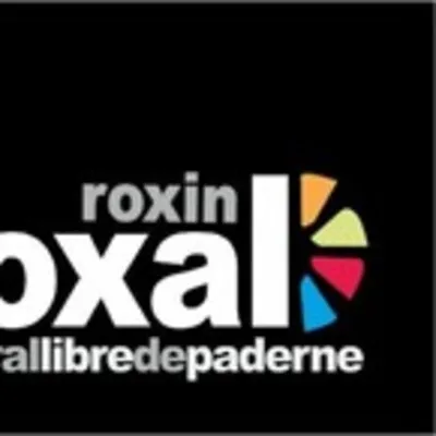 Logo de Roxín Roxal